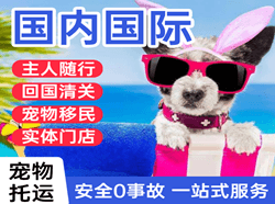 广元盘龙机场快运国际宠物托运 【国